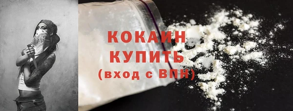 дживик Аркадак