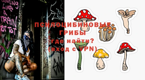 дживик Аркадак