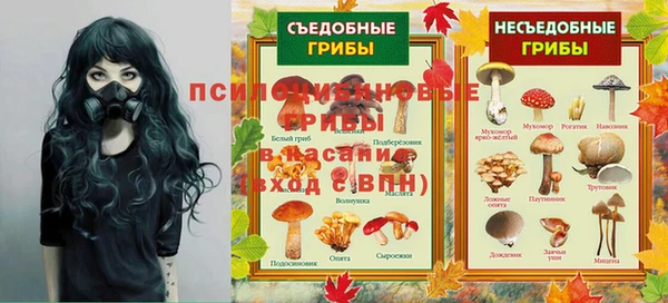 мяу мяу мука Армянск