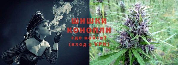 дживик Аркадак