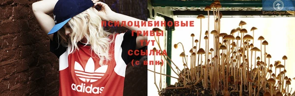 дживик Аркадак