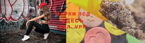 стафф Пестово